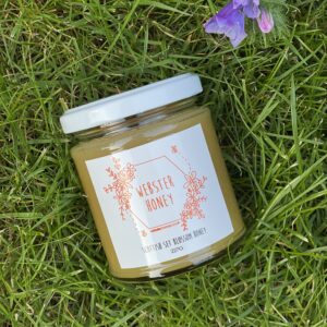 Blossom Honey Set (227g)