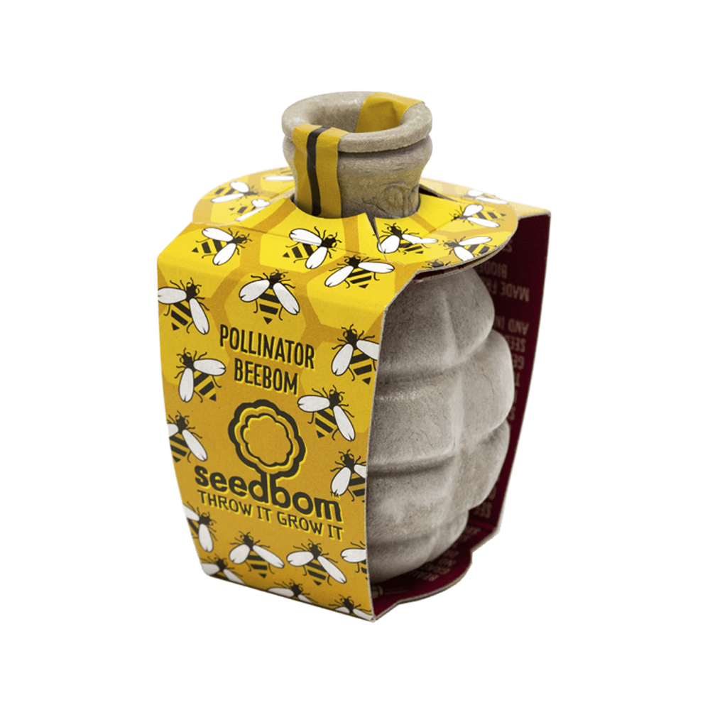 Seed Bombs Webster Honey